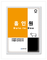 홀인원