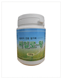 싸일로 왕