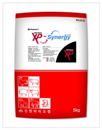 XP-시너지